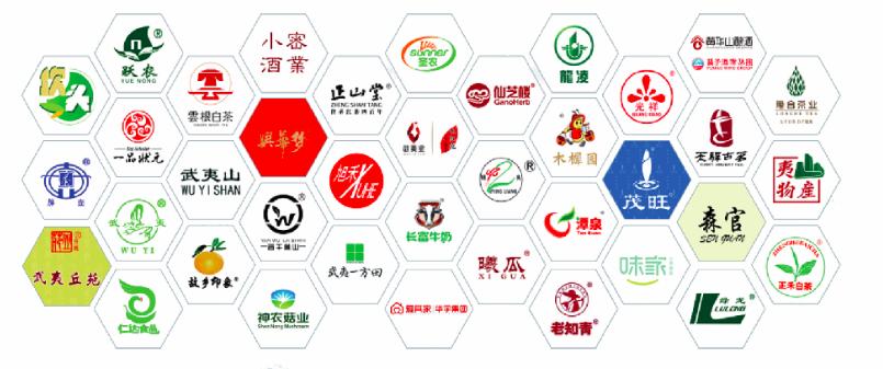 灵芝项目加盟条件和费用详解