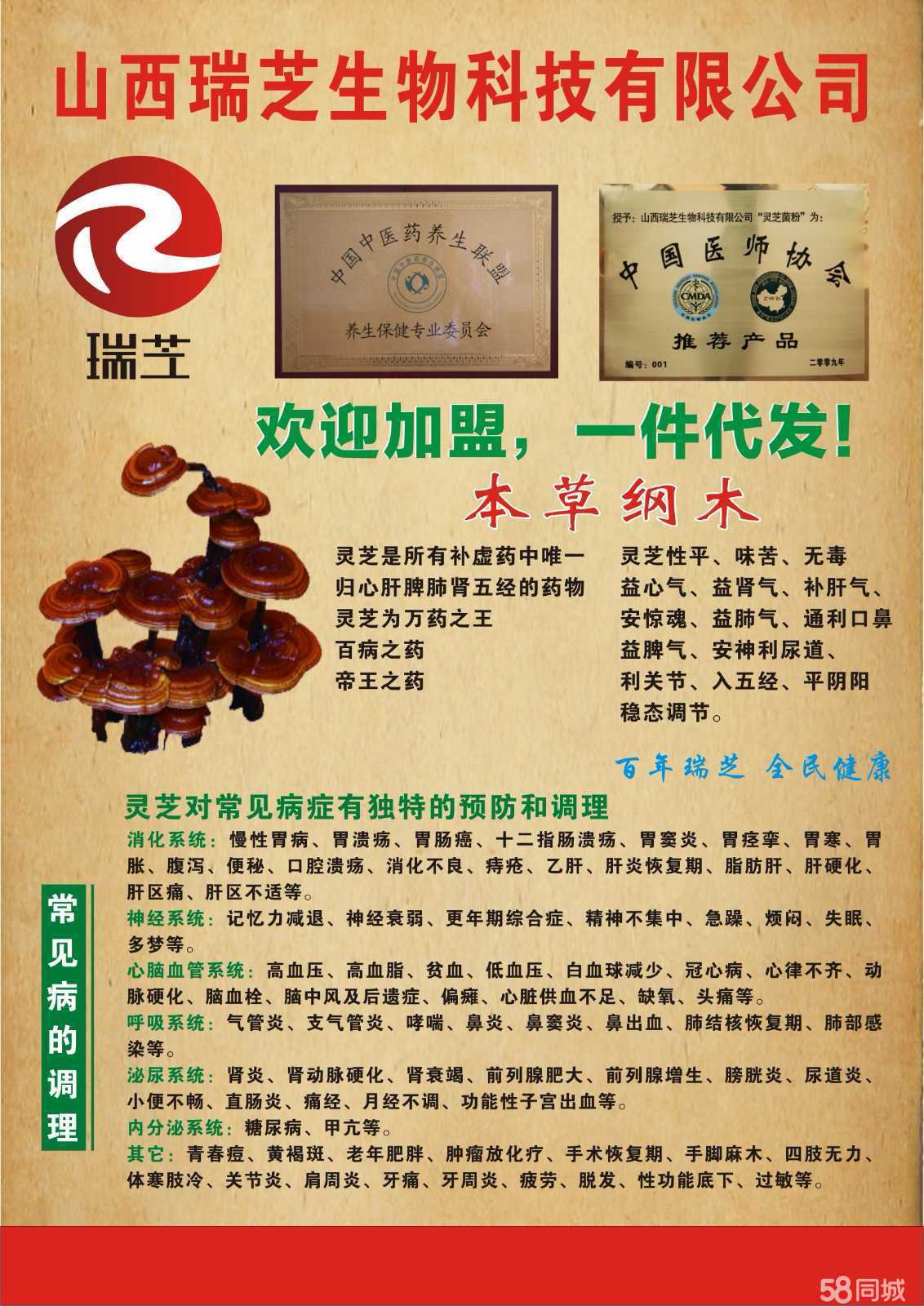 灵芝加盟项目有哪些公司