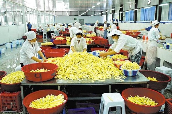 东莞加工小项目加盟电话