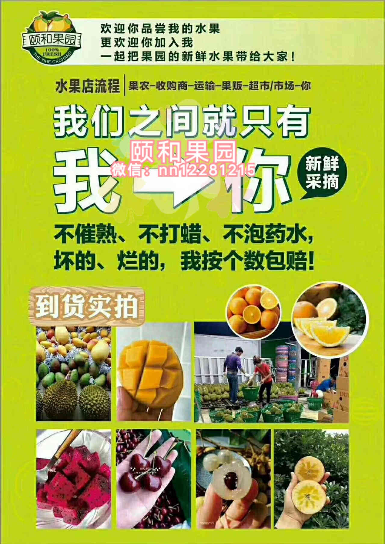 水果招商加盟项目介绍文案