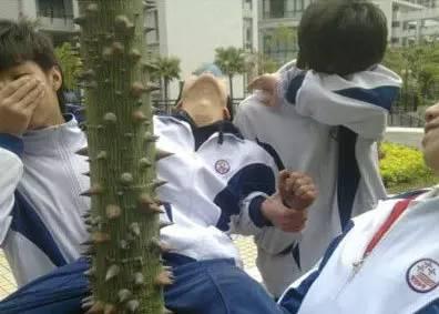 东莞摆摊做什么好赚钱呢 东莞摆摊做什么好赚钱呢女生