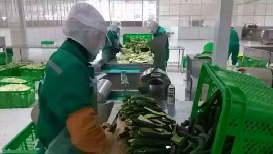 玩具加工厂项目加盟，实现创业梦想的绝佳选择