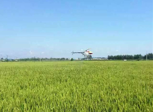 加盟农业无人机项目,实现高效农业 加盟农业无人机项目,实现高效农业