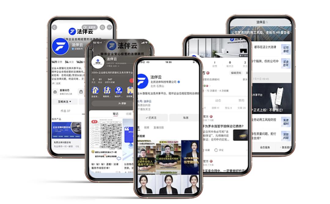 国家支持项目是否可以加盟？
