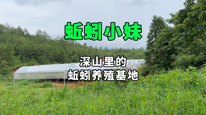河北蚯蚓养殖加盟项目招聘