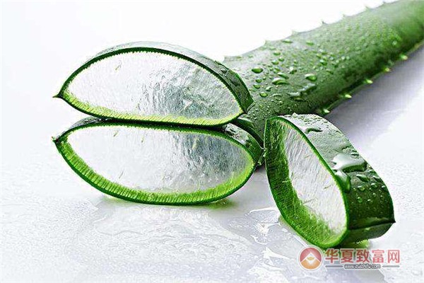 湖北芦荟灌肤加盟项目，打造美丽容颜的新选择