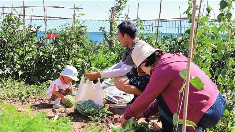 西安周末农场采摘项目加盟，探索绿色生活的新篇章