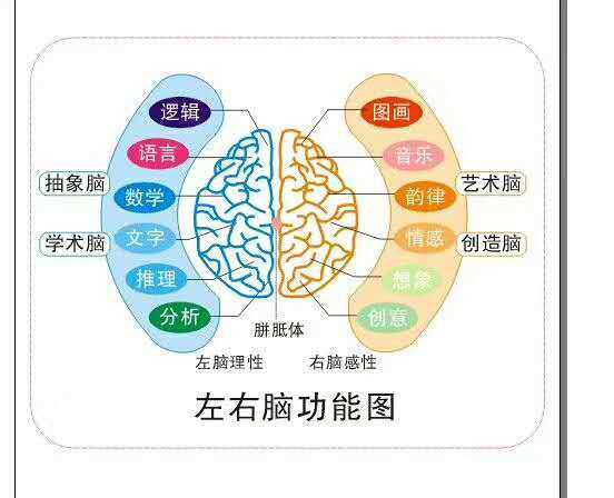 阜阳全脑教育加盟项目——开启智慧之门
