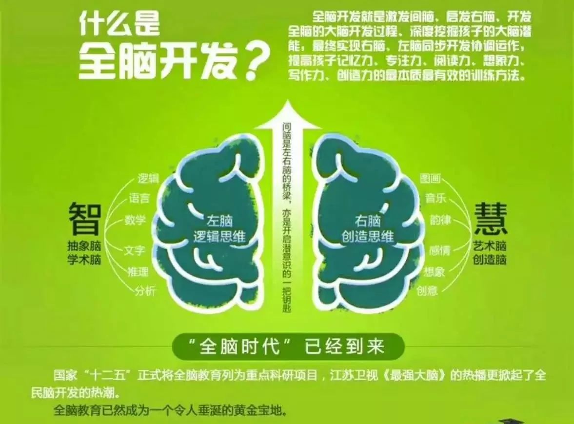 阜阳全脑教育加盟项目——开启智慧之门