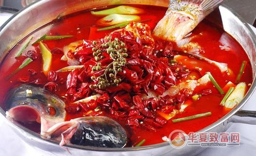 河北鱼火锅加盟项目详解