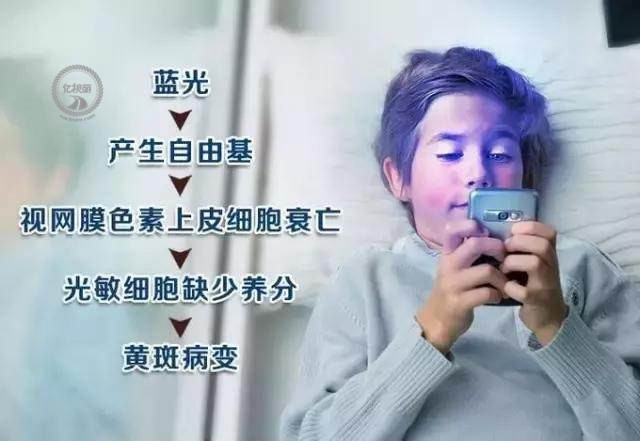 江苏专业的护眼项目加盟，守护孩子视力的明智之选