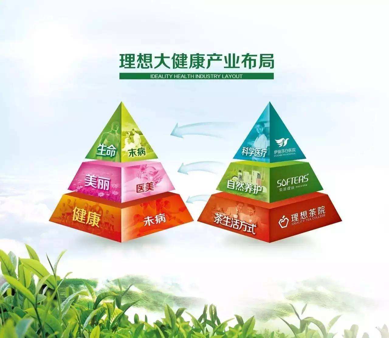 六早大健康加盟项目，打造健康产业新篇章