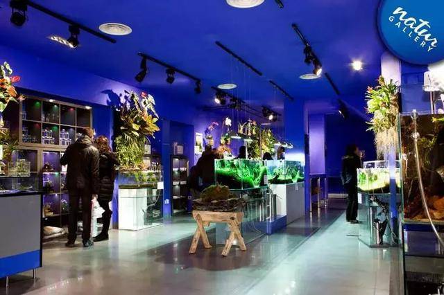 开水族店能做什么生意赚钱 开水族店怎么样