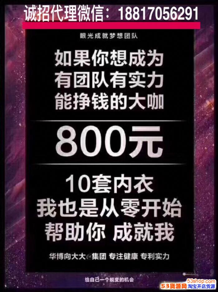 加盟微商有什么项目