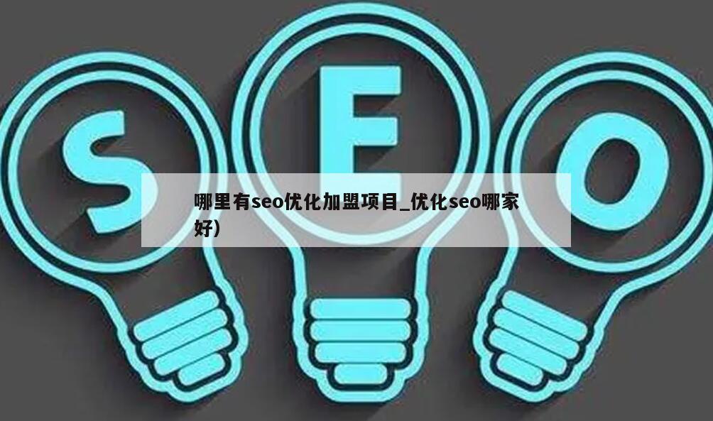 国内SEO优化加盟项目平台，探索、评估与优化