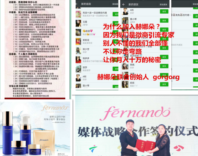 热门网站建设加盟代理项目，开启创业新篇章