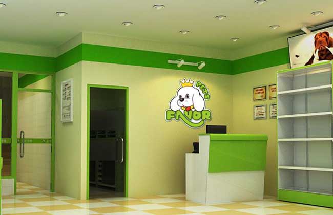 宠物店创业加盟项目——实现你的宠物梦想