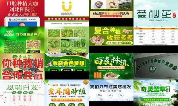 种植行业加盟项目怎么选？