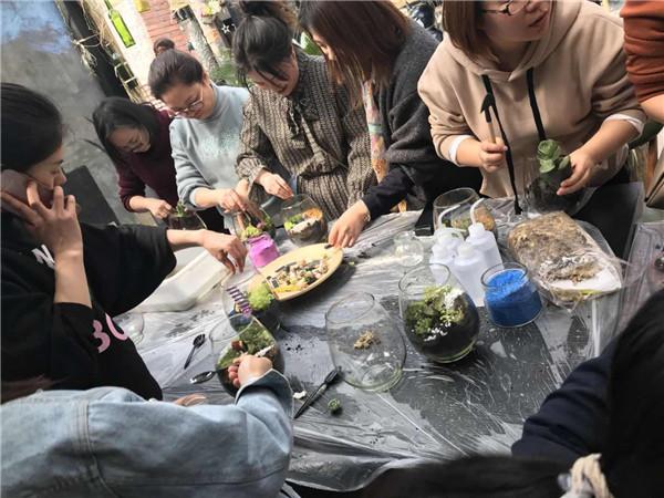 天津多肉花卉项目加盟，打造精美多肉花园