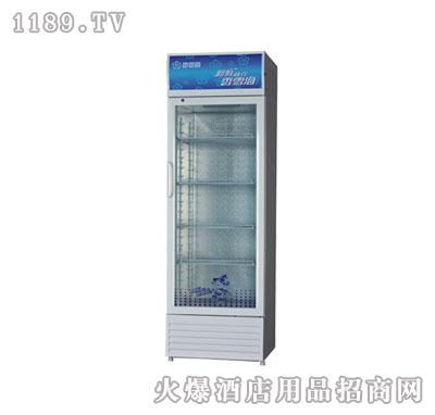 共享冰柜项目加盟费用详解