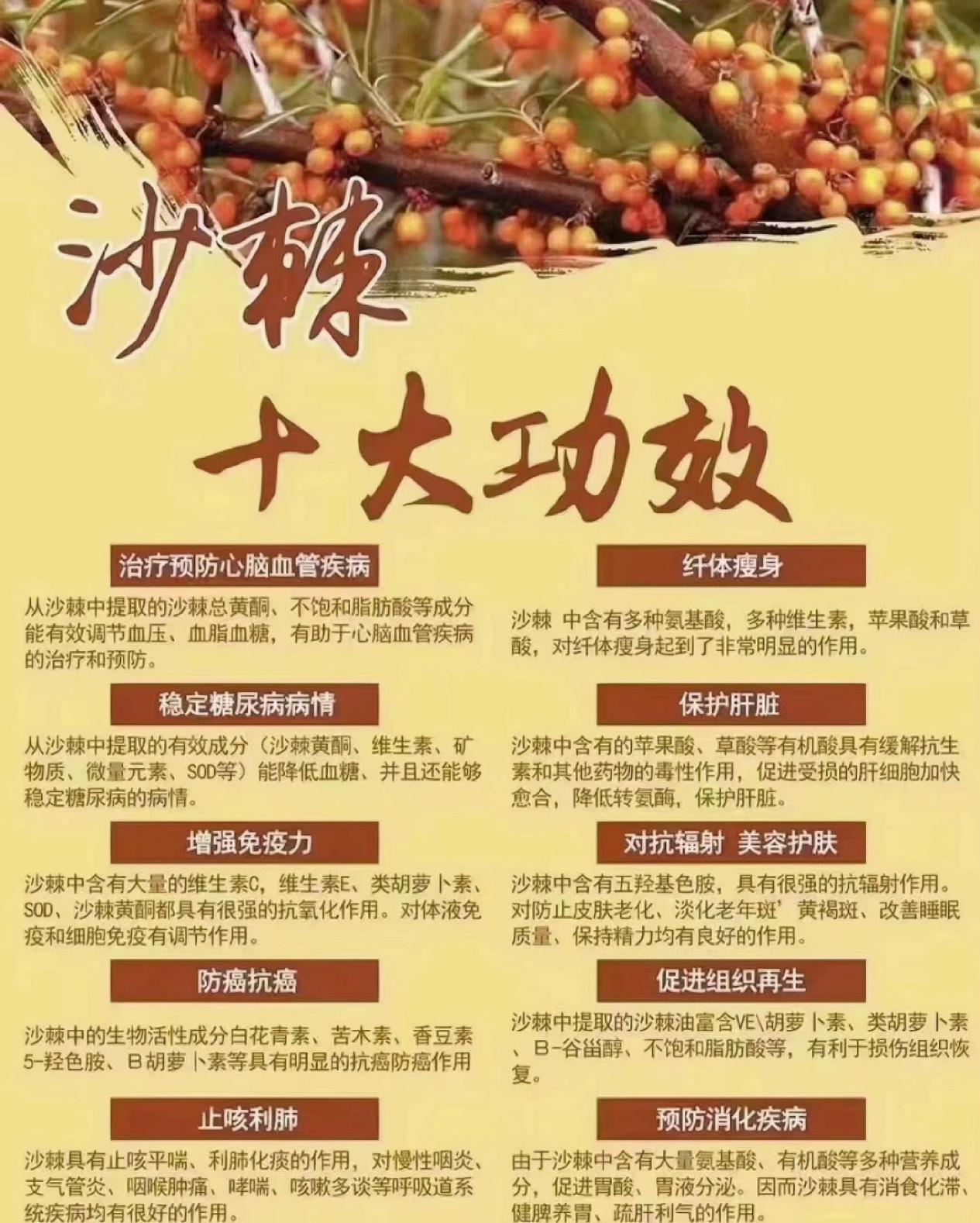 加盟沙棘项目是否是传销？