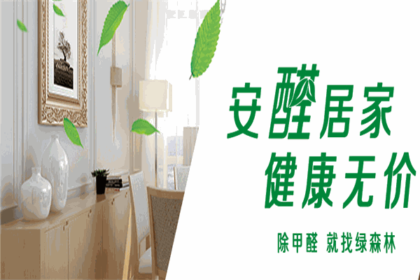 除甲醛加盟，成就绿色生活新篇章