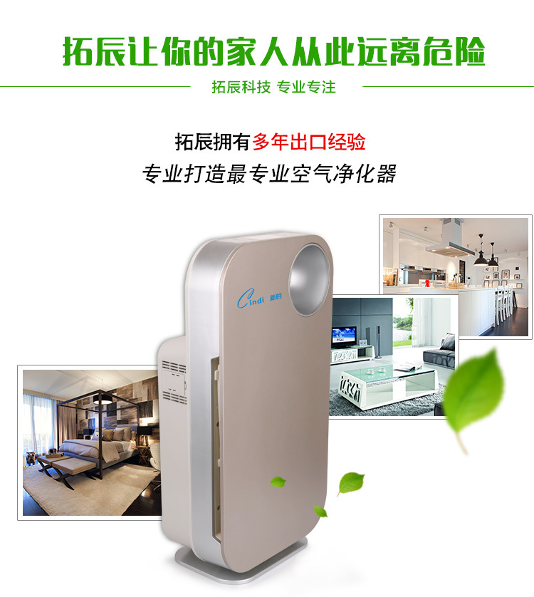 上海空气治理加盟项目，成就绿色生活新篇章