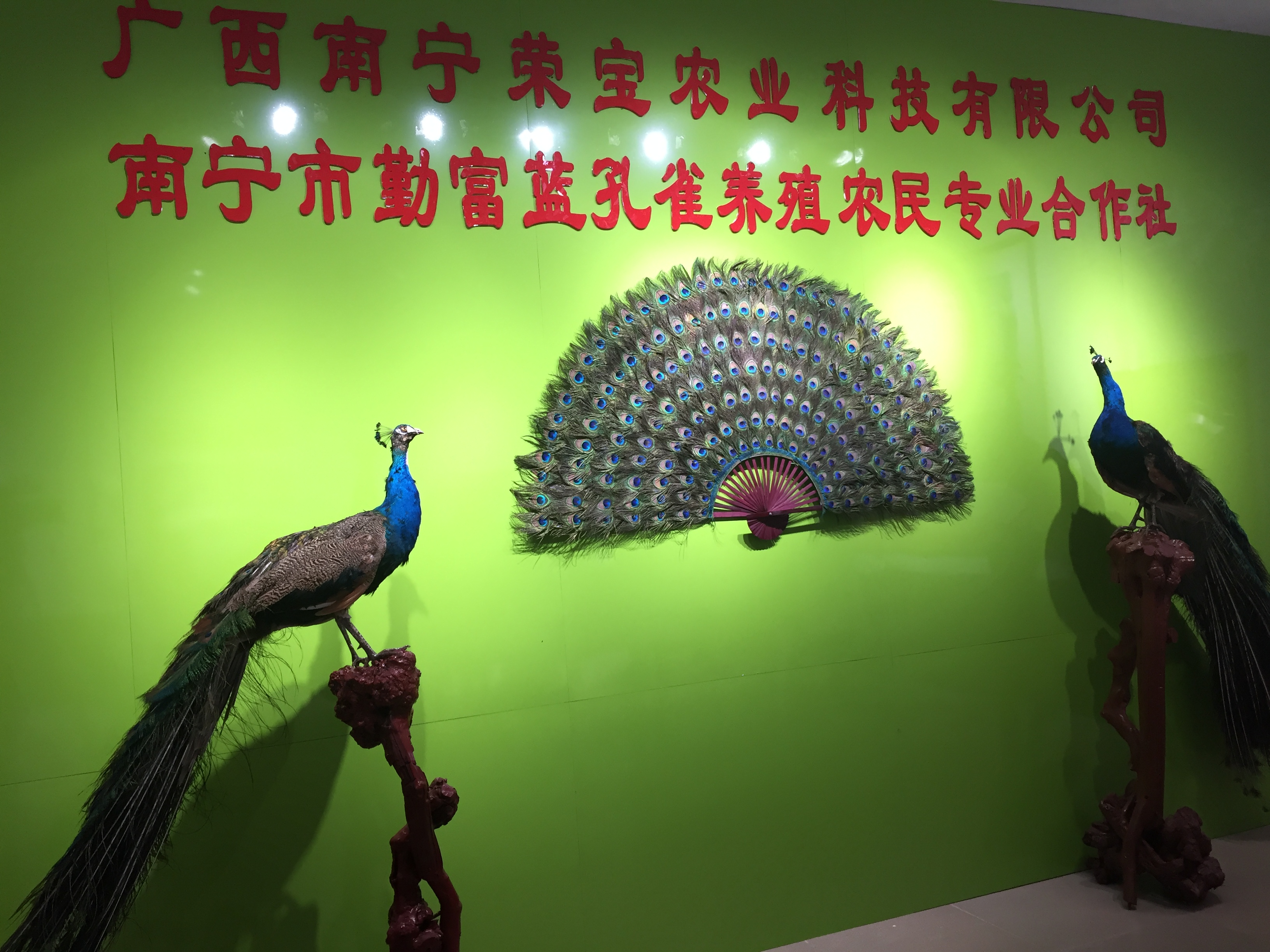 南宁致富项目加盟怎么样 南宁致富项目加盟怎么样啊