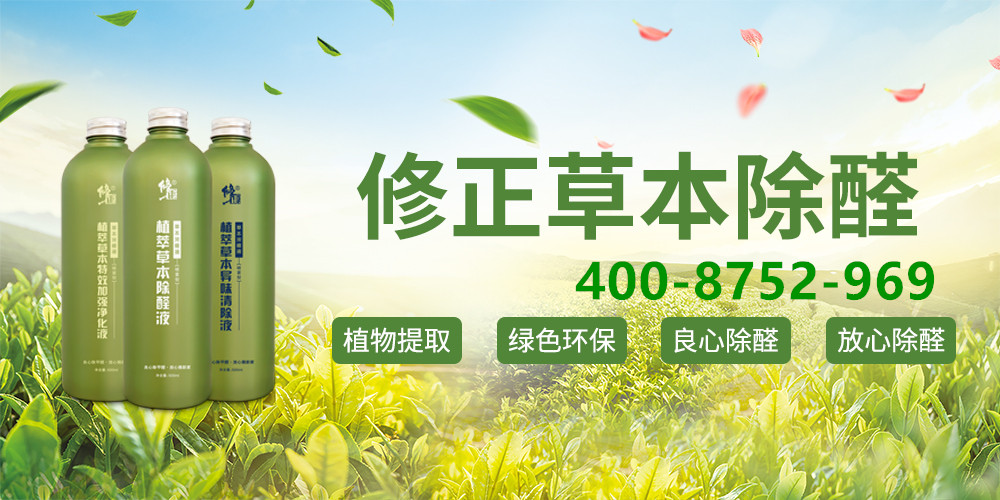 江西除甲醛环保项目加盟，开启绿色创业之旅
