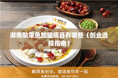 湖南省美食项目加盟，探索湘味美食的商业机遇