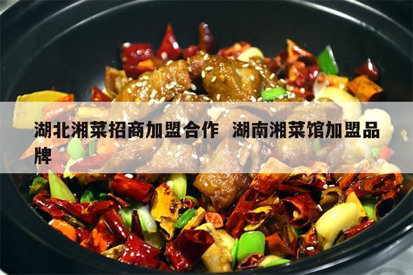 湖南省美食项目加盟，探索湘味美食的商业机遇