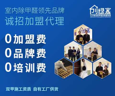 除甲醇项目能否加盟，解析与探讨