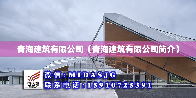 青海建筑咨询加盟项目公司，开启西部大开发的黄金机会