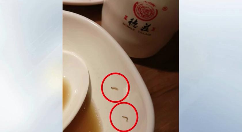 南通餐饮项目招商加盟扶持政策解读与机遇探讨