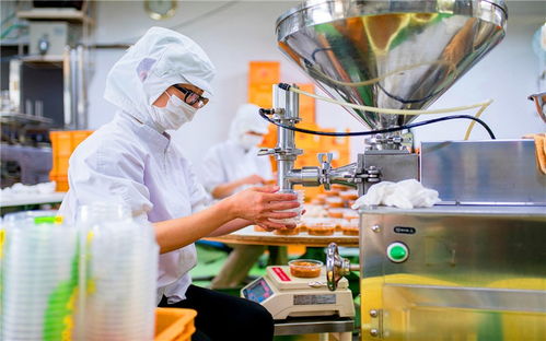 探究加盟工厂代加工项目的利润源泉