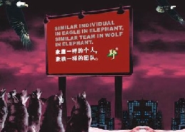 广州户外拓展项目招商加盟，开启您的业务新篇章