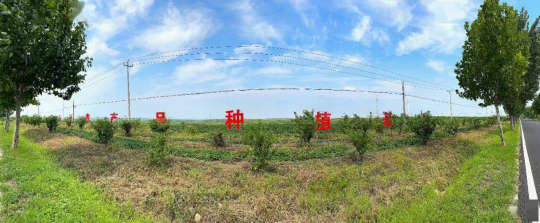 德州加盟乡村振兴产业项目，打造乡村新篇章