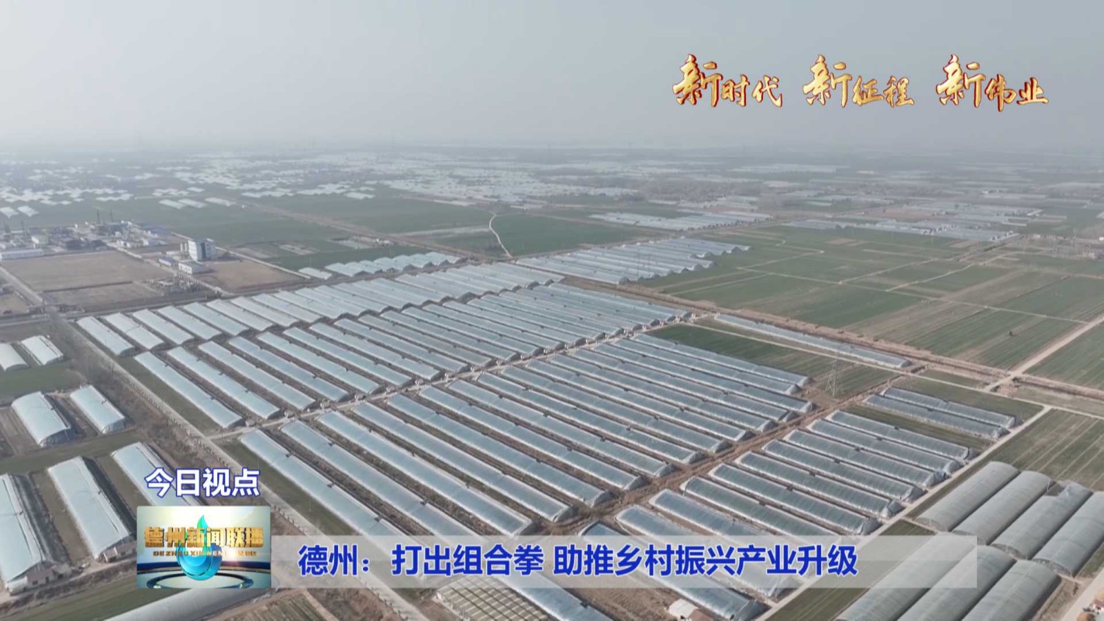 德州加盟乡村振兴产业项目，打造乡村新篇章
