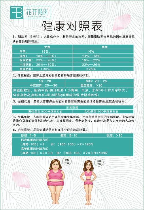 美容减肥项目加盟店的市场潜力与经营策略