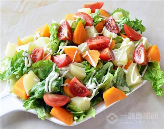 沙拉加盟项目推荐书