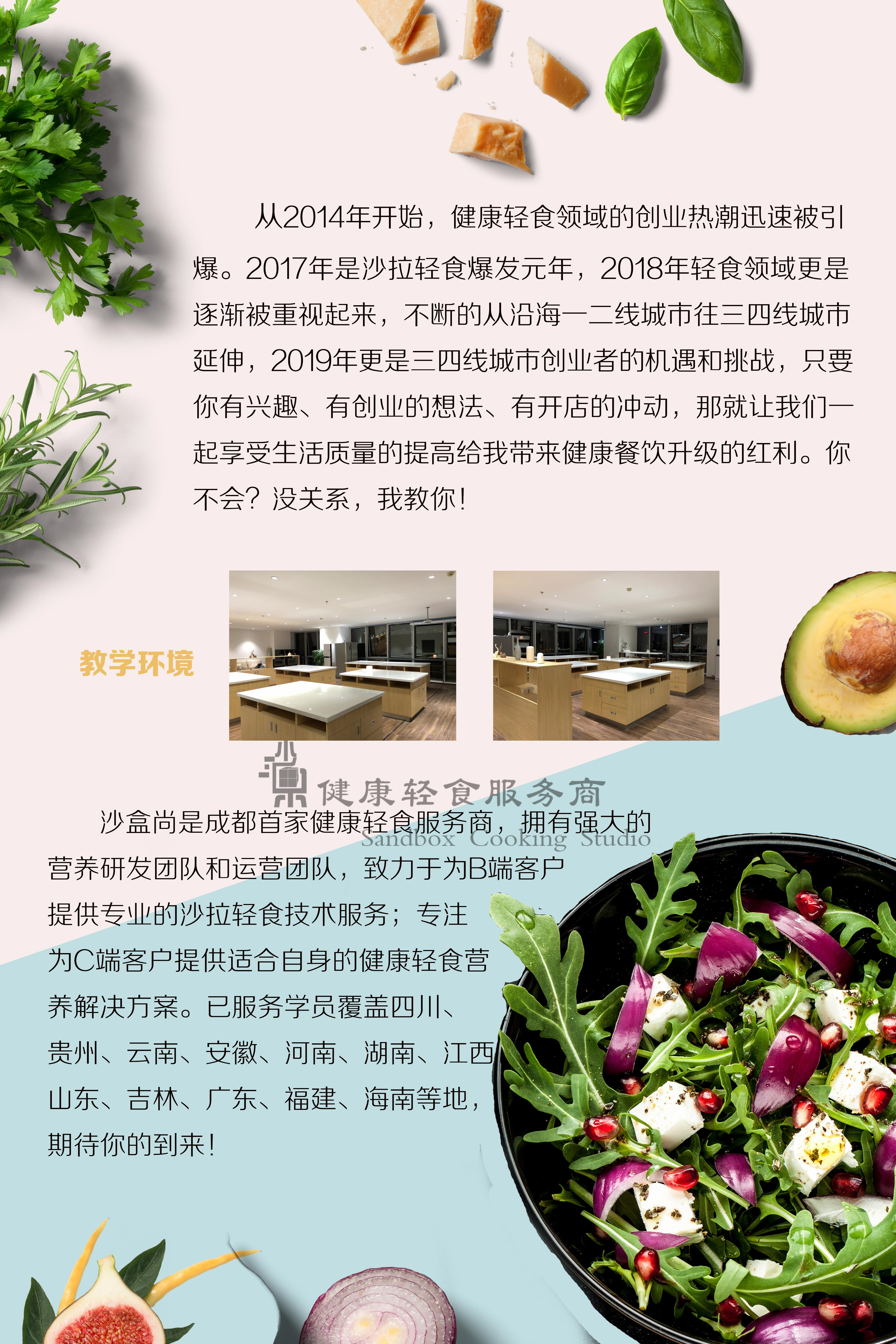 沙拉加盟项目推荐书