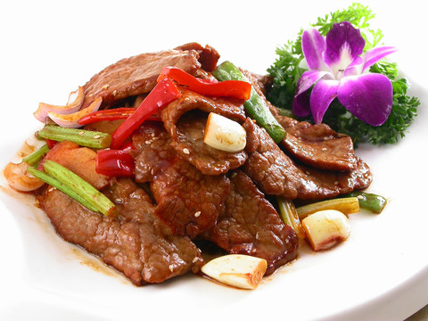 烧汁牛肉加盟，开启财富之旅