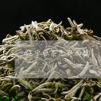 辽宁茶叶加盟项目推荐及联系电话