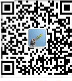广东兼职加盟项目有哪些