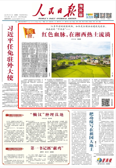 湘西创业加盟项目名单最新，探索红土地上的商机