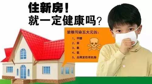 绿色未来，除甲醛加盟项目的市场前景与选择