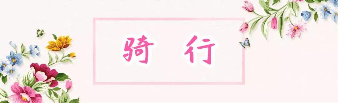 临沂减肥加盟项目一览