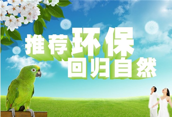 双桥环保项目招商加盟，共创绿色未来