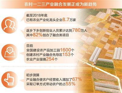 最新农村赚钱项目加盟，挖掘乡村经济潜力的新机遇