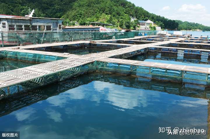 水产养殖加盟项目有哪些？以下是一些值得关注的加盟项目